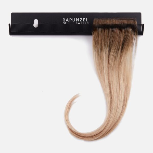 Hair extensions holder